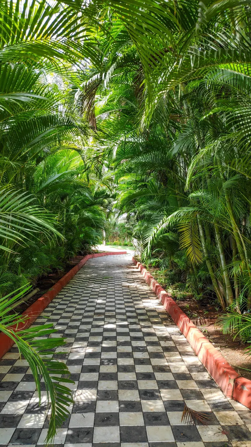 Team Retreat at Silent Shores, Mysuru, 2022