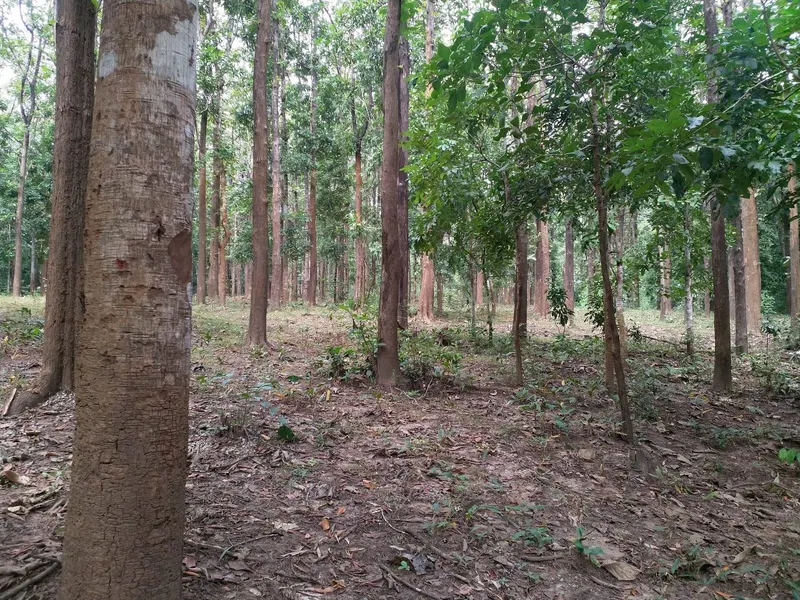 GSAS Team Adventure in Dandeli, 2018