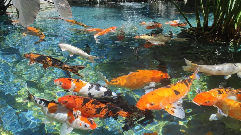 Team Outing at Angsana Oasis Spa & Resort, 2022